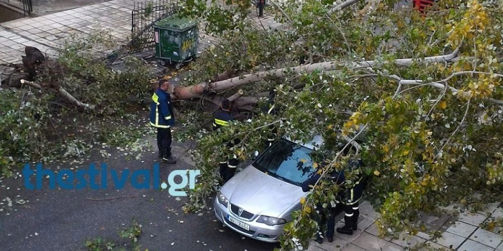 Τραγωδία στην Εγνατία Οδό: Δεντρο καταπλάκωσε αυτοκίνητο και σκότωσε τον συνοδηγό